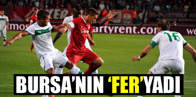 Bursa'nın 'Fer'yadı