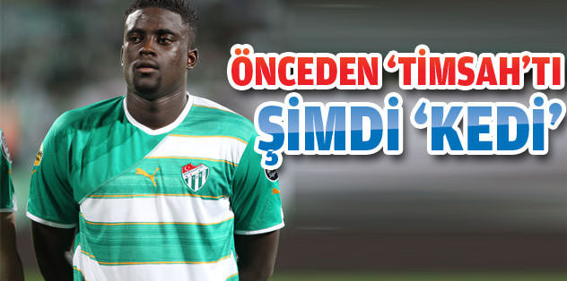 Önceden 'timsah'tı şimdi 'kedi'!