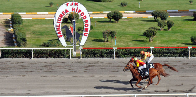 Şanlıurfa'da ganyan 37,39 lira verdi