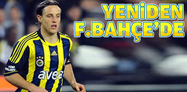 Ziegler yeniden Fenerbahçe'de