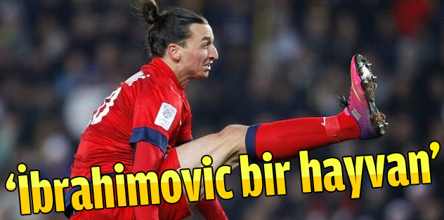 'İbrahimovic bir hayvan'