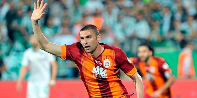 Kral tutkusu