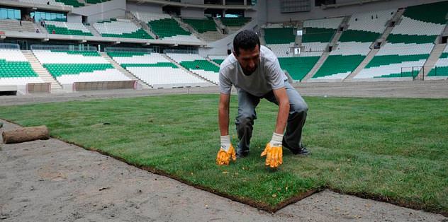 Timsah Arena çimlenmeye başladı