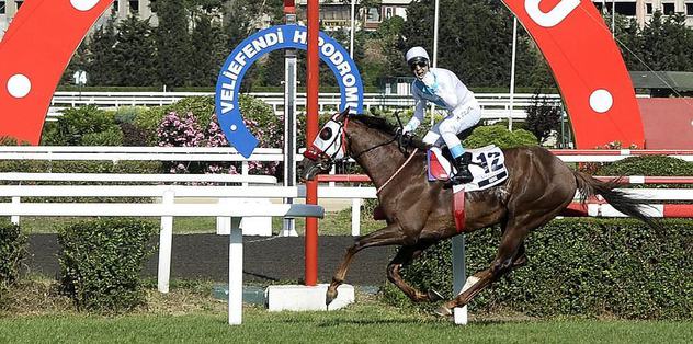 Gazi'ye 'Renk' kattı