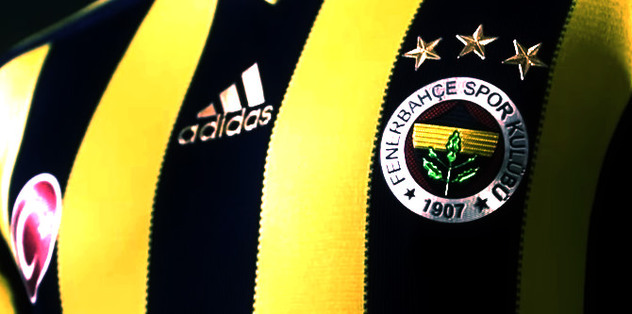 Fenerbahçe'de sakatlık şoku