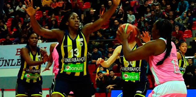 Dişi Kanarya çok farklı: 94-48