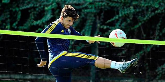 'Atom karınca' Ozan