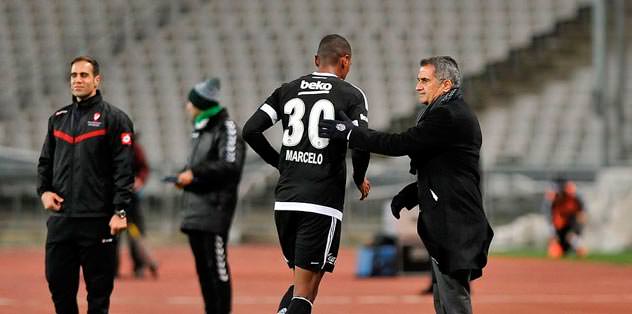 Yerden etkisizler