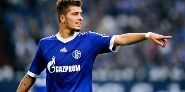 Neustadter F.Bahçe'de