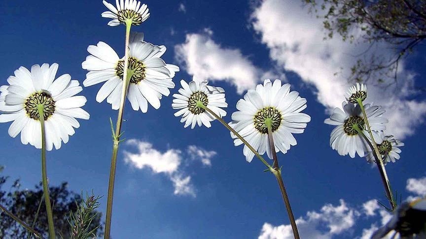 Cemre düşmesi ne zaman?