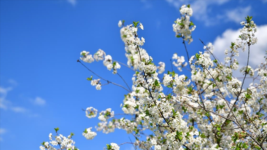 3. cemre ne zaman düşecek?