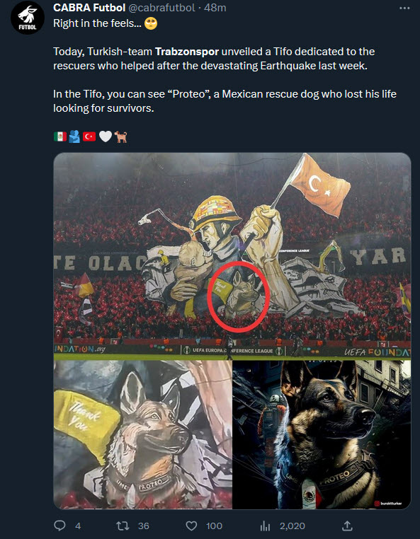 Trabzonspor Basel maçında koreografi dünya basınında geniş yer buldu!