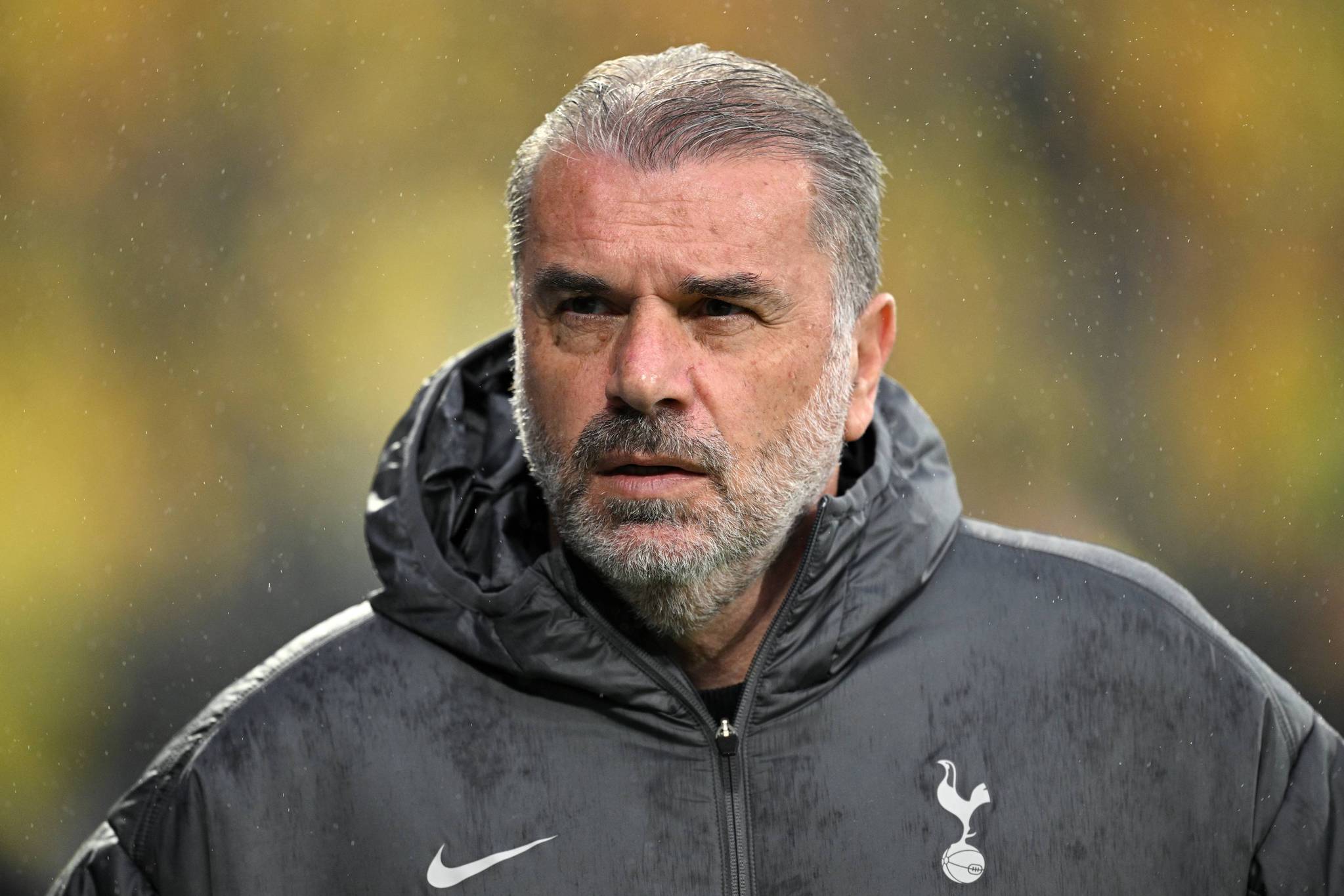 Fenerbahçe’de teknik direktör gündemi! Hedefte Postecoglou var