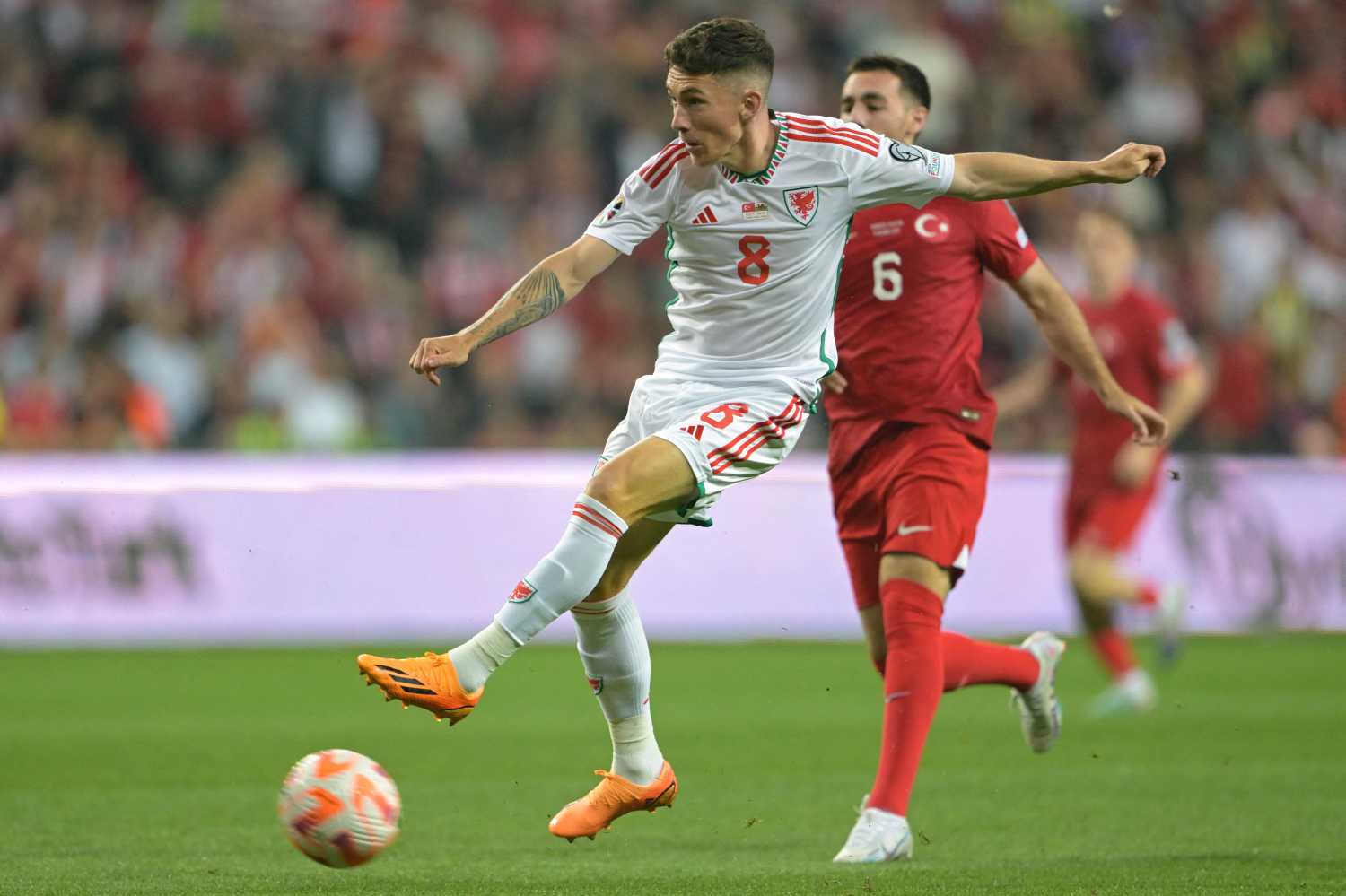 Fenerbahçe’de Aziz Yıldırım’dan transferde Harry Wilson hamlesi!